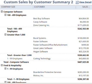 NetSuite自定义报表